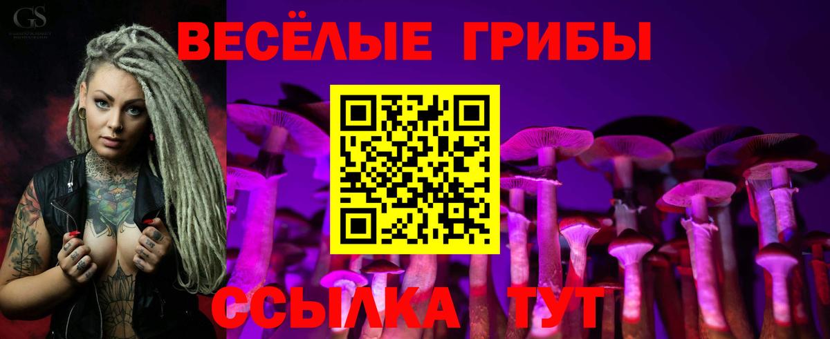 Псилоцибиновые грибы ЛСД Карпинск